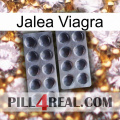 Viagra Jelly 31